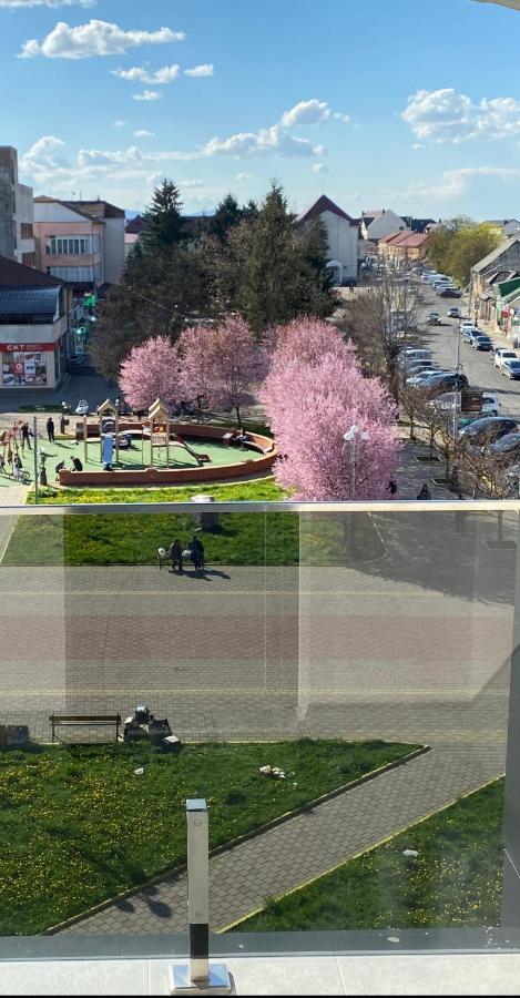 Готель Тячів エクステリア 写真